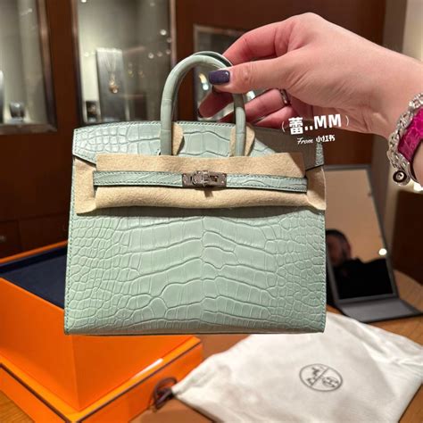 hermes birkin 2023|mini kelly birkin 20.